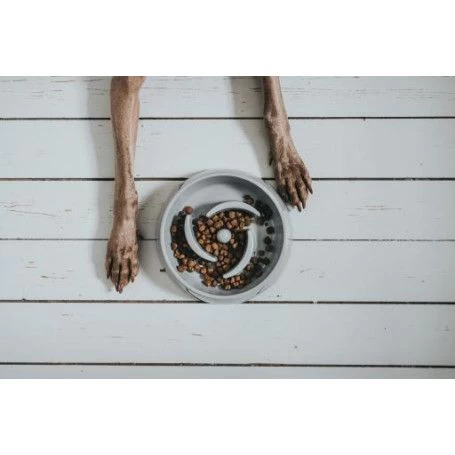 Materiel Gamelle Anti-glouton Hunter Atlanta 4 Materiel Gamelle Anti-glouton Hunter Atlanta – Image 2