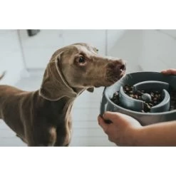 Materiel Gamelle Anti-glouton Hunter Atlanta 8 Materiel Gamelle Anti-glouton Hunter Atlanta -Animaux Compagnie Fournitures Magasin gamelle anti glouton hunter atlanta 2