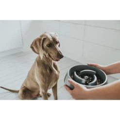 Materiel Gamelle Anti-glouton Hunter Atlanta 9 Materiel Gamelle Anti-glouton Hunter Atlanta -Animaux Compagnie Fournitures Magasin gamelle anti glouton hunter atlanta 3