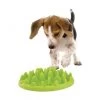 Materiel Gamelle Green Slow Dog Pour Chien -Animaux Compagnie Fournitures Magasin gamelle catch interactive northmate pour chien