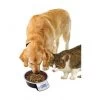 Materiel Gamelle Intelligente Pet Bowl 1 Materiel Gamelle Intelligente Pet Bowl -Animaux Compagnie Fournitures Magasin gamelle intelligente pet bowl