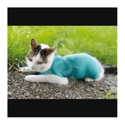 Materiel Gilet CatBody VetMedCare Pour Chat