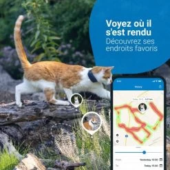Materiel GPS Tractive Cat 4 Pour Chat 11 Materiel GPS Tractive Cat 4 Pour Chat -Animaux Compagnie Fournitures Magasin gps tractive cat 4 pour chat 2