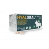 Hyaloral Chiot, Petites Et Moyennes Races -Animaux Compagnie Fournitures Magasin hyaloral chiot petites et moyennes races