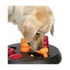 Materiel Jouet Chien éducatif : Flip Board -Animaux Compagnie Fournitures Magasin jouet chien educatif flip board