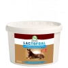 Lactofoal -Animaux Compagnie Fournitures Magasin lactofoal