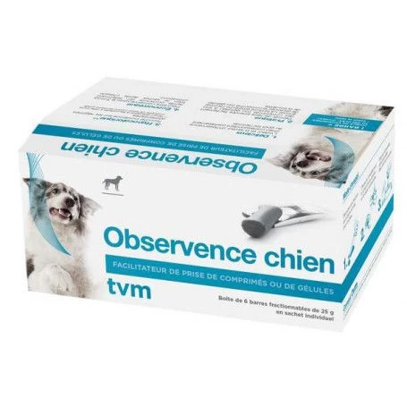 Observence Chien En Barre 3 Observence Chien En Barre