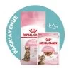 Pack'Avenue Royal Canin CAT KITTEN STERILISED 3,5KG Avec émincé En Sauce -Animaux Compagnie Fournitures Magasin pack croissance chatons sterilises Royal Canin