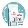 Pack'Avenue Royal Canin CAT SKIN & COAT Sac 3,5kg Avec 12 Sachets Repas -Animaux Compagnie Fournitures Magasin pack croquettes cat skin coat royal canin