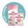 Pack'Avenue Royal Canin CAT KITTEN 10KG Avec Sachets émincé En Gelée -Animaux Compagnie Fournitures Magasin pack croquettes chatons Royal Canin