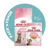 Pack'Avenue Royal Canin CAT KITTEN STERILISED 3,5KG Avec émincé En Gelée -Animaux Compagnie Fournitures Magasin pack croquettes chatons sterilises Royal Canin