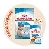 Pack'Avenue Royal Canin DOG MEDIUM PUPPY 15KG -Animaux Compagnie Fournitures Magasin pack croquettes chiot moyenne race