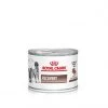ROYAL CANIN Dog/Cat Recovery Boîte -Animaux Compagnie Fournitures Magasin royal canin cat dog recovery boite