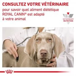 ROYAL CANIN Dog/Cat Recovery Boîte -Animaux Compagnie Fournitures Magasin royal canin cat dog recovery boite 4
