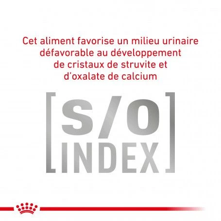ROYAL CANIN Cat Gastro Intestinal Sachet Repas 6 ROYAL CANIN Cat Gastro Intestinal Sachet Repas – Image 4