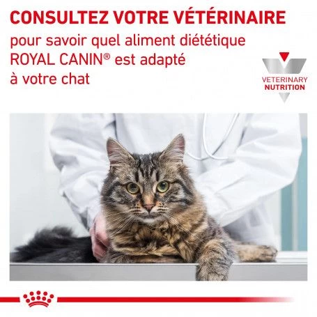 ROYAL CANIN Cat Gastro Intestinal Sachet Repas 10 ROYAL CANIN Cat Gastro Intestinal Sachet Repas – Image 8
