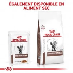 ROYAL CANIN Cat Gastro Intestinal Sachet Repas 19 ROYAL CANIN Cat Gastro Intestinal Sachet Repas -Animaux Compagnie Fournitures Magasin royal canin cat gastro intestinal sachet repas 8
