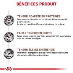 ROYAL CANIN Cat Hepatic -Animaux Compagnie Fournitures Magasin royal canin cat hepatic 3