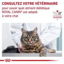 ROYAL CANIN Cat Hepatic -Animaux Compagnie Fournitures Magasin royal canin cat hepatic 7