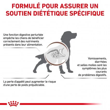 ROYAL CANIN Dog Gastro Intestinal 4 ROYAL CANIN Dog Gastro Intestinal – Image 2