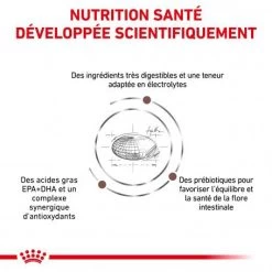 ROYAL CANIN Dog Gastro Intestinal 12 ROYAL CANIN Dog Gastro Intestinal -Animaux Compagnie Fournitures Magasin royal canin dog gastro intestinal 2