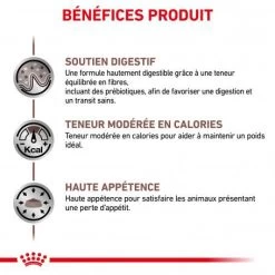 ROYAL CANIN Cat Gastro Intestinal Moderate Calorie -Animaux Compagnie Fournitures Magasin royal canin veterinary diet cat gastro intestinal moderate calorie 3