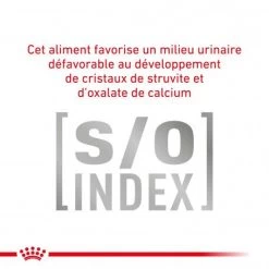 ROYAL CANIN Cat Gastro Intestinal Moderate Calorie -Animaux Compagnie Fournitures Magasin royal canin veterinary diet cat gastro intestinal moderate calorie 4