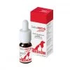 Sativavet Active Medium 1 Sativavet Active Medium -Animaux Compagnie Fournitures Magasin sativavet active medium