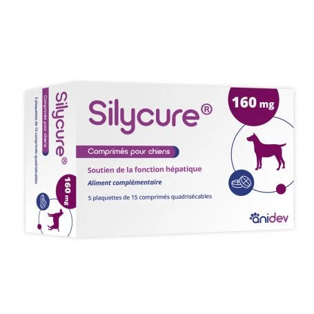 Silycure 160mg 3 Silycure 160mg