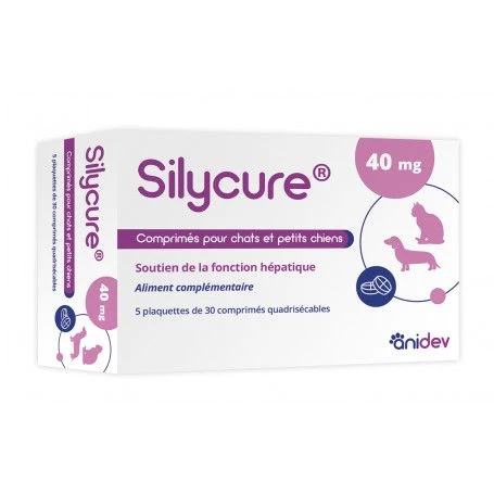 Silycure 40mg 3 Silycure 40mg