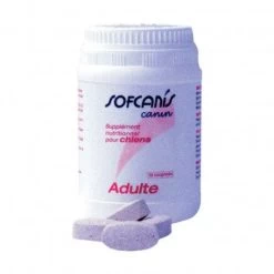 Sofcanis Adulte