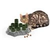 Materiel Stimulo Chat Aïkiou -Animaux Compagnie Fournitures Magasin stimulo chat aikiou