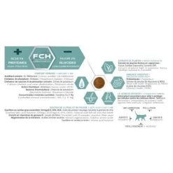 Tonivet Chaton -Animaux Compagnie Fournitures Magasin tonivet chaton 2