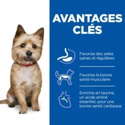 Vet Essentials Canine Adult Healthy Digestive Biome Small&Mini 13 Vet Essentials Canine Adult Healthy Digestive Biome Small&Mini -Animaux Compagnie Fournitures Magasin vet essentials canine adult healthy digestive biome smallmi 3