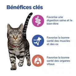 Vet Essentials Chat Multi-Benefit Adulte Poulet Sachet Repas -Animaux Compagnie Fournitures Magasin vet essentials chat multi benefit adult 1 poulet sachet repas 2