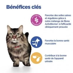 Vet Essentials Chat Multi-Benefit + Digestion Adult 1+ Saumon 12 Vet Essentials Chat Multi-Benefit + Digestion Adult 1+ Saumon -Animaux Compagnie Fournitures Magasin vet essentials chat multi benefit digestion adult 1 saum 3