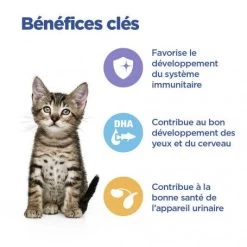 Vet Essentials Chat Multi-Benefit Kitten Poulet Sachet Repas -Animaux Compagnie Fournitures Magasin vet essentials chat multi benefit kitten poulet sachet repas 2