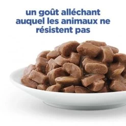 Vet Essentials Chat Multi-Benefit + Weight Adult Poulet Sachets Repas 13 Vet Essentials Chat Multi-Benefit + Weight Adult Poulet Sachets Repas -Animaux Compagnie Fournitures Magasin vet essentials chat multi benefit weight adult poulet sachets repas 3