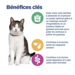 Vet Essentials Chat Multi-Benefit + Weight Adult Poulet Sachets Repas 17 Vet Essentials Chat Multi-Benefit + Weight Adult Poulet Sachets Repas -Animaux Compagnie Fournitures Magasin vet essentials chat multi benefit weight adult poulet sachets repas 7