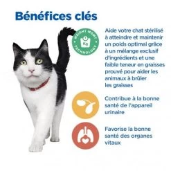 Vet Essentials Chat Multi-Benefit + Weight Mature 7+ Poulet -Animaux Compagnie Fournitures Magasin vet essentials chat multi benefit weight mature adult7 po 3