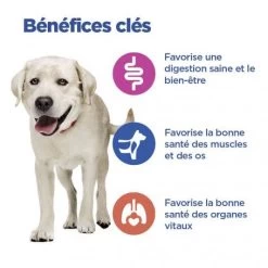 Vet Essentials Chien Multi-Benefit Adult + Large Breed Agneau & Riz -Animaux Compagnie Fournitures Magasin vet essentials chien multi benefit adult 1 l breed agnri 3