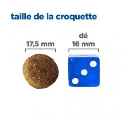 Vet Essentials Chien Multi-Benefit Adult + Large Breed Agneau & Riz -Animaux Compagnie Fournitures Magasin vet essentials chien multi benefit adult 1 l breed agnri 4