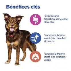 Vet Essentials Chien Multi-Benefit Adult + Medium Agneau & Riz 12 Vet Essentials Chien Multi-Benefit Adult + Medium Agneau & Riz -Animaux Compagnie Fournitures Magasin vet essentials chien multi benefit adult 1 medium agnriz 3