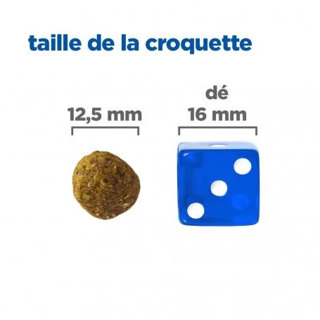 Vet Essentials Chien Multi-Benefit Adult + Medium Agneau & Riz 7 Vet Essentials Chien Multi-Benefit Adult + Medium Agneau & Riz – Image 5