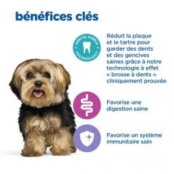 Vet Essentials Chien Multi-Benefit+Dental Adult 1+ Small & Mini -Animaux Compagnie Fournitures Magasin vet essentials chien multi benefitdental adult 1 sm mp 4