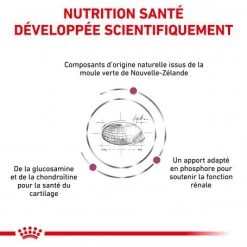 ROYAL CANIN Veterinary Health Nutrition Cat Mobility -Animaux Compagnie Fournitures Magasin veterinary diet cat mobility 2