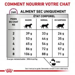 ROYAL CANIN Veterinary Health Nutrition Cat Mobility -Animaux Compagnie Fournitures Magasin veterinary diet cat mobility 5
