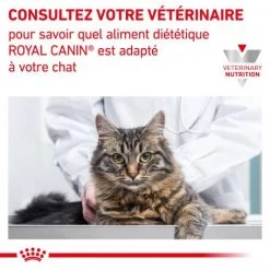 ROYAL CANIN Veterinary Health Nutrition Cat Mobility -Animaux Compagnie Fournitures Magasin veterinary diet cat mobility 7