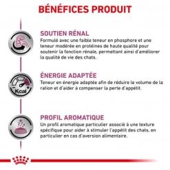 ROYAL CANIN Veterinary Health Nutrition Cat Renal Boeuf Sachet Repas -Animaux Compagnie Fournitures Magasin veterinary diet cat renal boeuf sachet repas 2