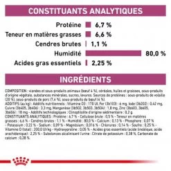 ROYAL CANIN Veterinary Health Nutrition Cat Renal Boeuf Sachet Repas -Animaux Compagnie Fournitures Magasin veterinary diet cat renal boeuf sachet repas 4